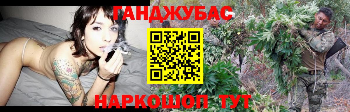 Каннабис план Шатура